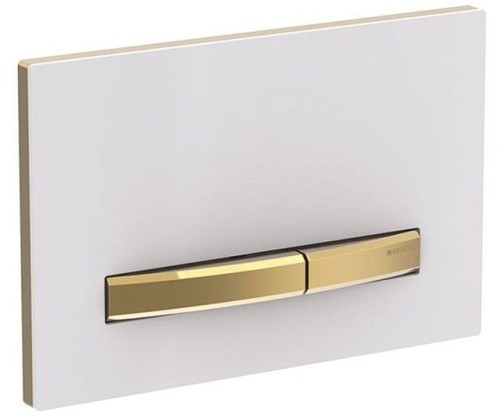 GEBERIT SIGMA50 Dual flush przycisk spłukujący, biały/mosiądz #2