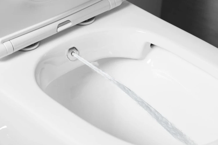 PACO CLEANWASH kompakt WC ze zintegrowaną baterią i prysznicem bidetowym, odpływ poziomy/pionowy, biały #4