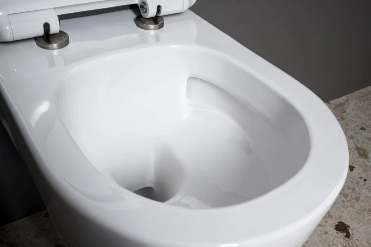 LUNA WC wiszące, Vortex Rimless, 35,5x49cm, biały #5